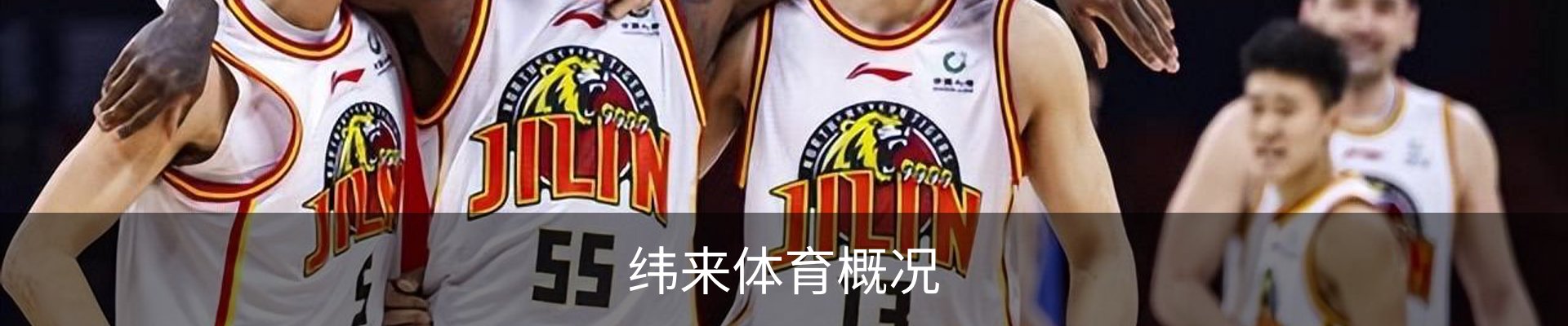 纬来体育概况